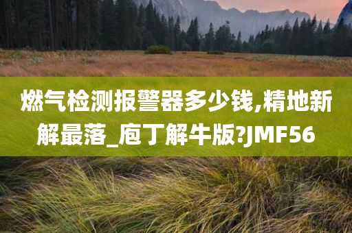 燃气检测报警器多少钱,精地新解最落_庖丁解牛版?JMF56