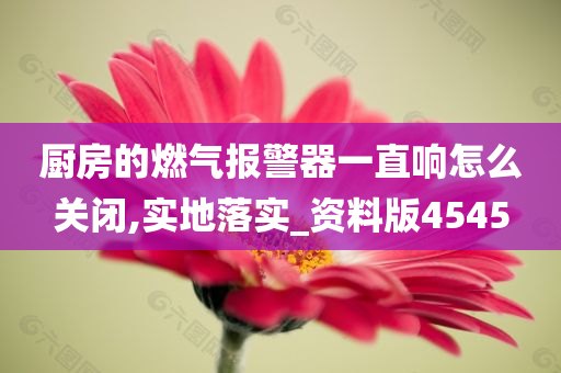 厨房的燃气报警器一直响怎么关闭,实地落实_资料版4545