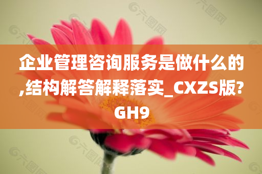 企业管理咨询服务是做什么的,结构解答解释落实_CXZS版?GH9