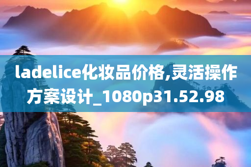 ladelice化妆品价格,灵活操作方案设计_1080p31.52.98