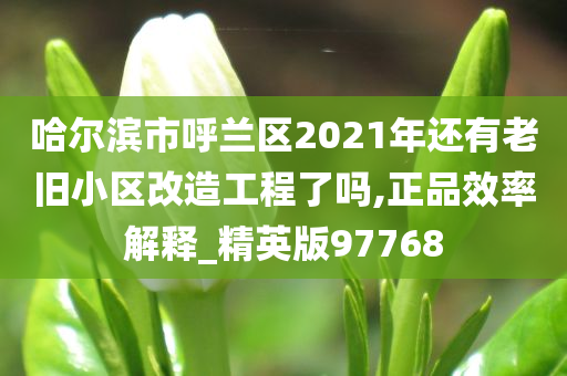 哈尔滨市呼兰区2021年还有老旧小区改造工程了吗,正品效率解释_精英版97768