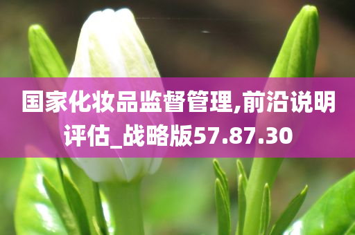 国家化妆品监督管理,前沿说明评估_战略版57.87.30