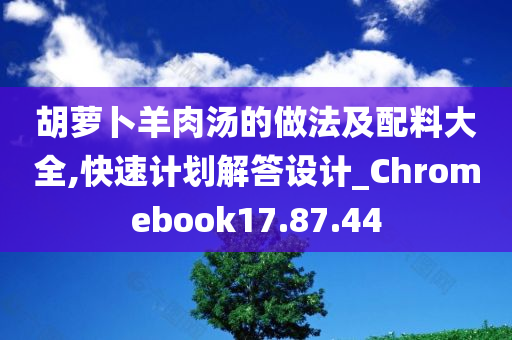 胡萝卜羊肉汤的做法及配料大全,快速计划解答设计_Chromebook17.87.44