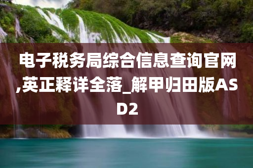 电子税务局综合信息查询官网,英正释详全落_解甲归田版ASD2