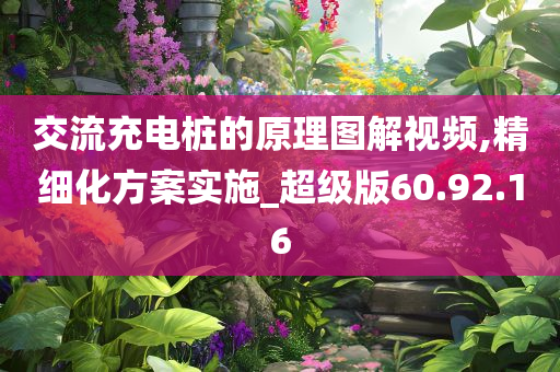 交流充电桩的原理图解视频,精细化方案实施_超级版60.92.16