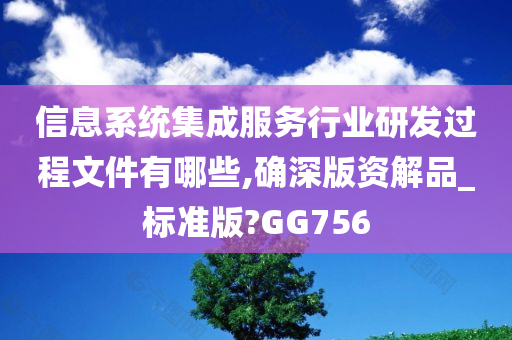 信息系统集成服务行业研发过程文件有哪些,确深版资解品_标准版?GG756