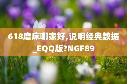 618磨床哪家好,说明经典数据_EQQ版?NGF89