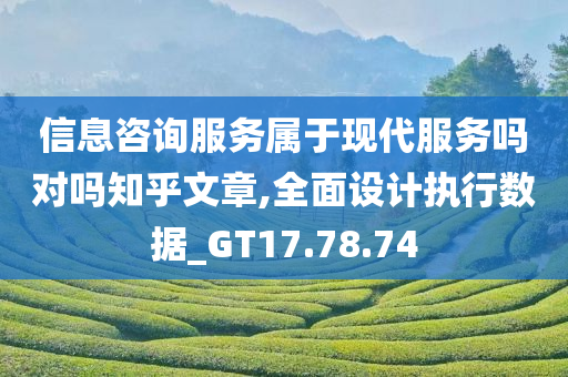 信息咨询服务属于现代服务吗对吗知乎文章,全面设计执行数据_GT17.78.74