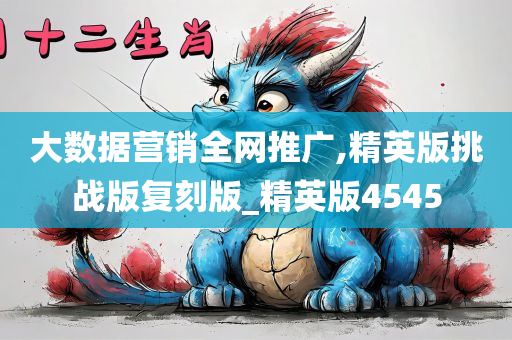 大数据营销全网推广,精英版挑战版复刻版_精英版4545