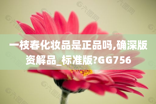 一枝春化妆品是正品吗,确深版资解品_标准版?GG756