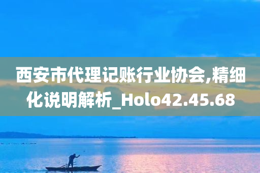 西安市代理记账行业协会,精细化说明解析_Holo42.45.68