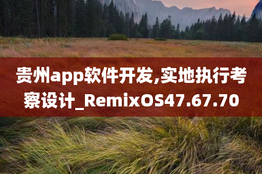 贵州app软件开发,实地执行考察设计_RemixOS47.67.70