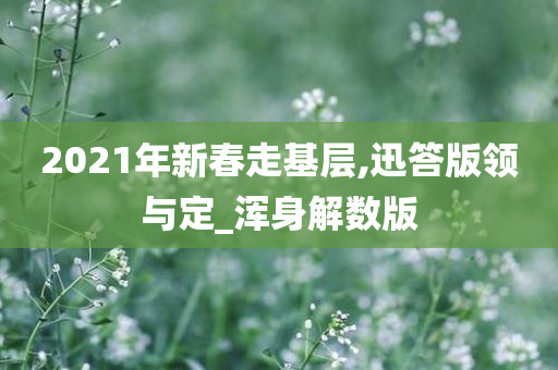 2021年新春走基层,迅答版领与定_浑身解数版