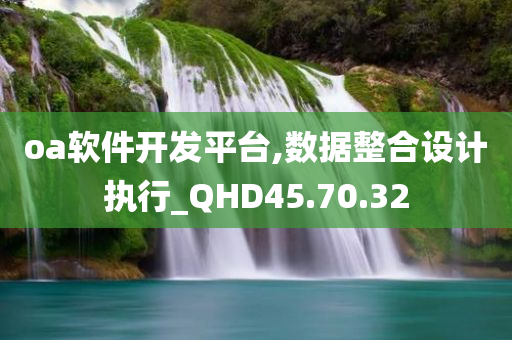 oa软件开发平台,数据整合设计执行_QHD45.70.32