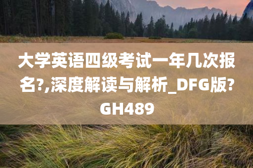 大学英语四级考试一年几次报名?,深度解读与解析_DFG版?GH489