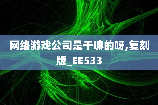 网络游戏公司是干嘛的呀,复刻版_EE533