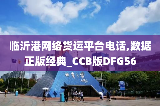 临沂港网络货运平台电话,数据正版经典_CCB版DFG56