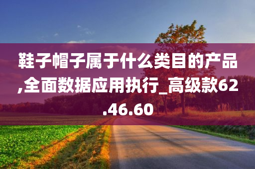 鞋子帽子属于什么类目的产品,全面数据应用执行_高级款62.46.60