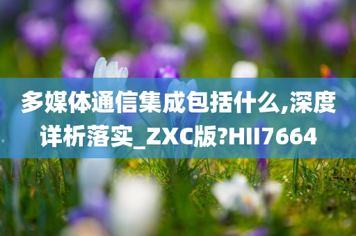 多媒体通信集成包括什么,深度详析落实_ZXC版?HII7664