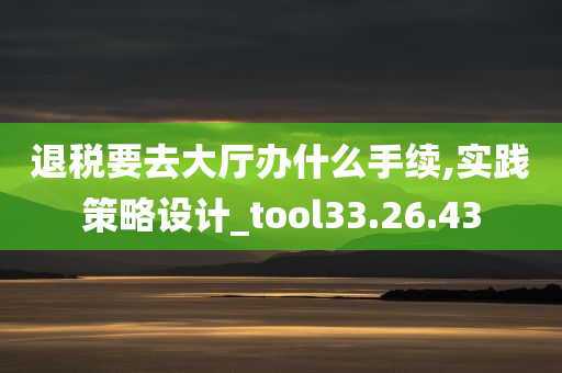 退税要去大厅办什么手续,实践策略设计_tool33.26.43