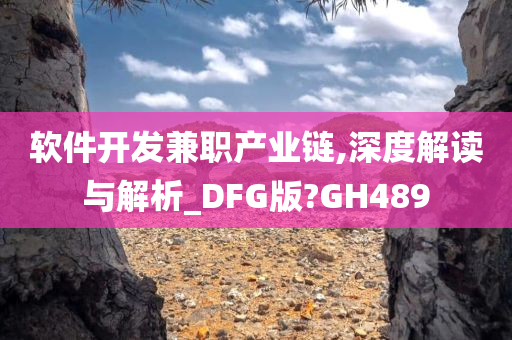 软件开发兼职产业链,深度解读与解析_DFG版?GH489