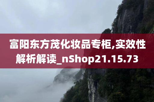 富阳东方茂化妆品专柜,实效性解析解读_nShop21.15.73