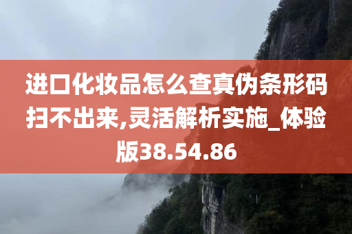 进口化妆品怎么查真伪条形码扫不出来,灵活解析实施_体验版38.54.86