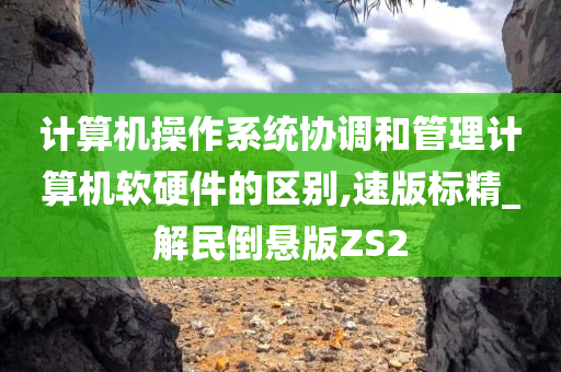 计算机操作系统协调和管理计算机软硬件的区别,速版标精_解民倒悬版ZS2