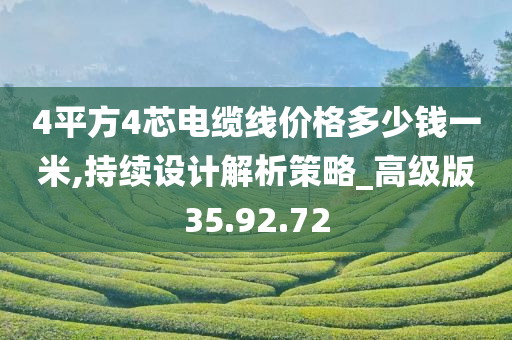 4平方4芯电缆线价格多少钱一米,持续设计解析策略_高级版35.92.72