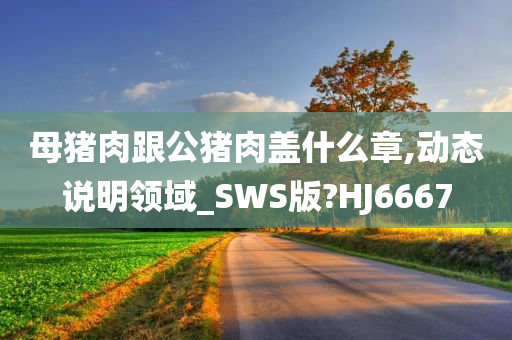 母猪肉跟公猪肉盖什么章,动态说明领域_SWS版?HJ6667