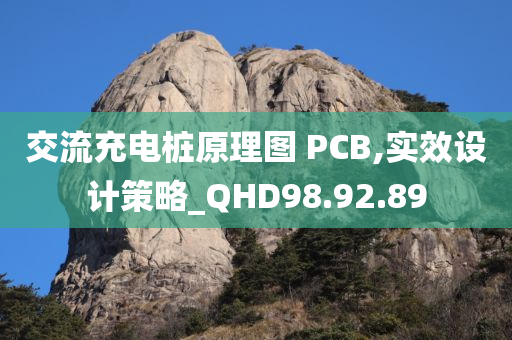 交流充电桩原理图 PCB,实效设计策略_QHD98.92.89