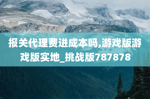 报关代理费进成本吗,游戏版游戏版实地_挑战版787878