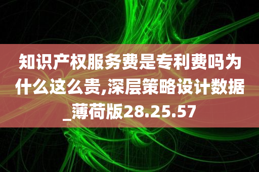 知识产权服务费是专利费吗为什么这么贵,深层策略设计数据_薄荷版28.25.57