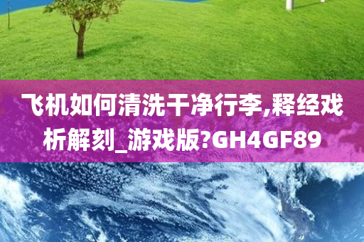 飞机如何清洗干净行李,释经戏析解刻_游戏版?GH4GF89