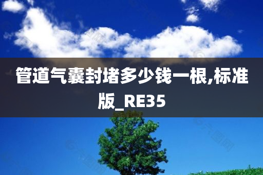 管道气囊封堵多少钱一根,标准版_RE35