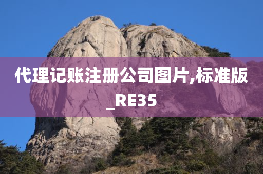 代理记账注册公司图片,标准版_RE35