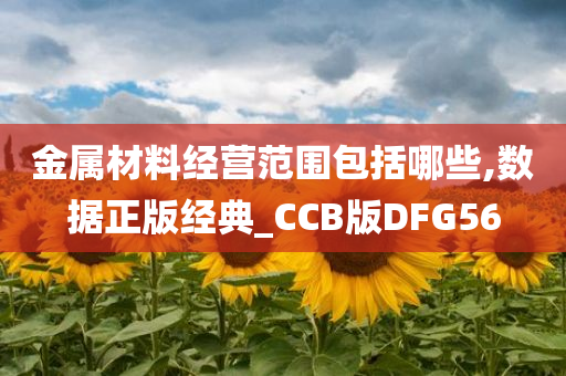 金属材料经营范围包括哪些,数据正版经典_CCB版DFG56