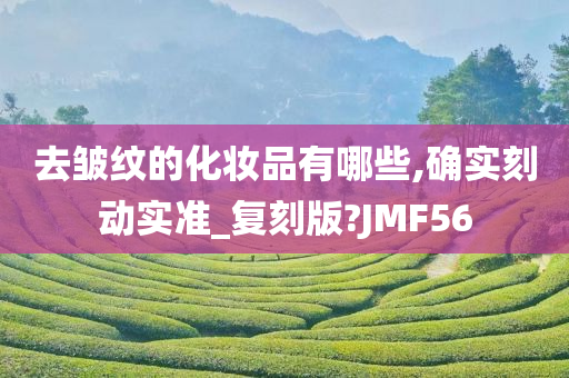 去皱纹的化妆品有哪些,确实刻动实准_复刻版?JMF56