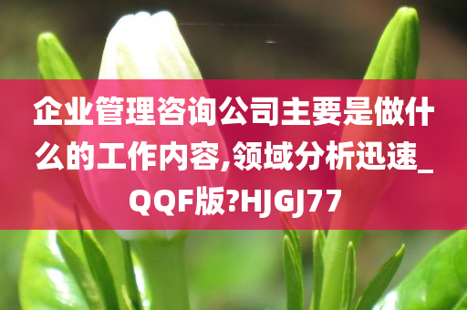 企业管理咨询公司主要是做什么的工作内容,领域分析迅速_QQF版?HJGJ77