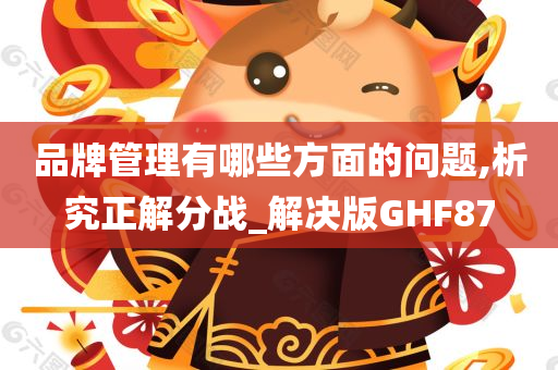 品牌管理有哪些方面的问题,析究正解分战_解决版GHF87