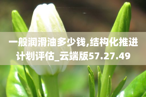 一般润滑油多少钱,结构化推进计划评估_云端版57.27.49