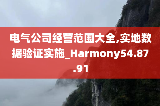 电气公司经营范围大全,实地数据验证实施_Harmony54.87.91