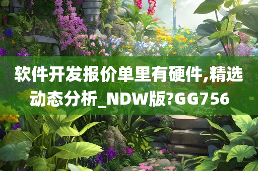 软件开发报价单里有硬件,精选动态分析_NDW版?GG756