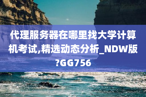 代理服务器在哪里找大学计算机考试,精选动态分析_NDW版?GG756