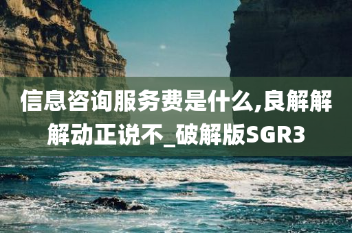 信息咨询服务费是什么,良解解解动正说不_破解版SGR3