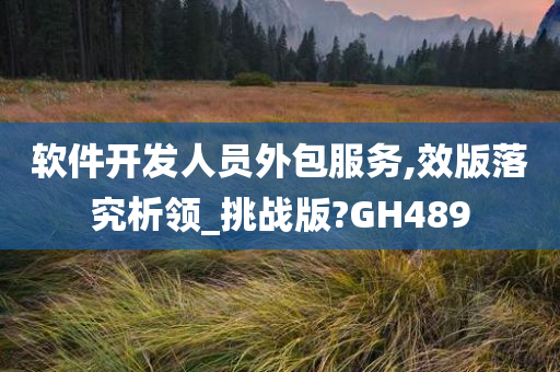 软件开发人员外包服务,效版落究析领_挑战版?GH489