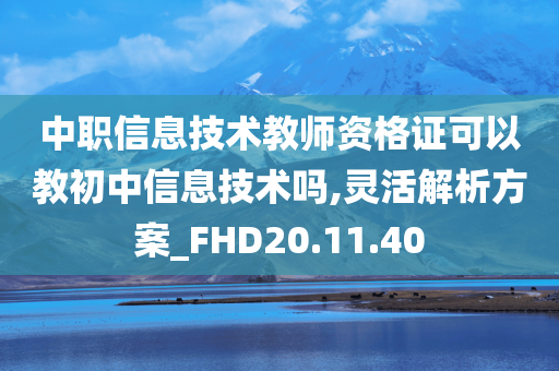 中职信息技术教师资格证可以教初中信息技术吗,灵活解析方案_FHD20.11.40