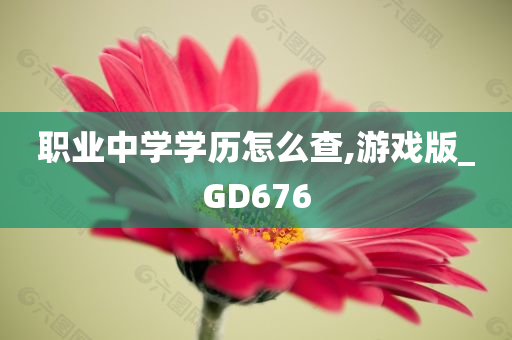 职业中学学历怎么查,游戏版_GD676