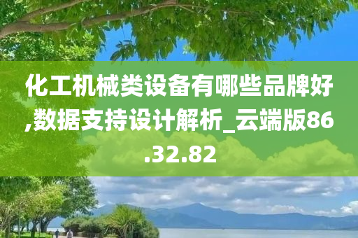 化工机械类设备有哪些品牌好,数据支持设计解析_云端版86.32.82