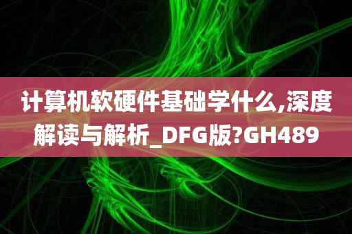 计算机软硬件基础学什么,深度解读与解析_DFG版?GH489